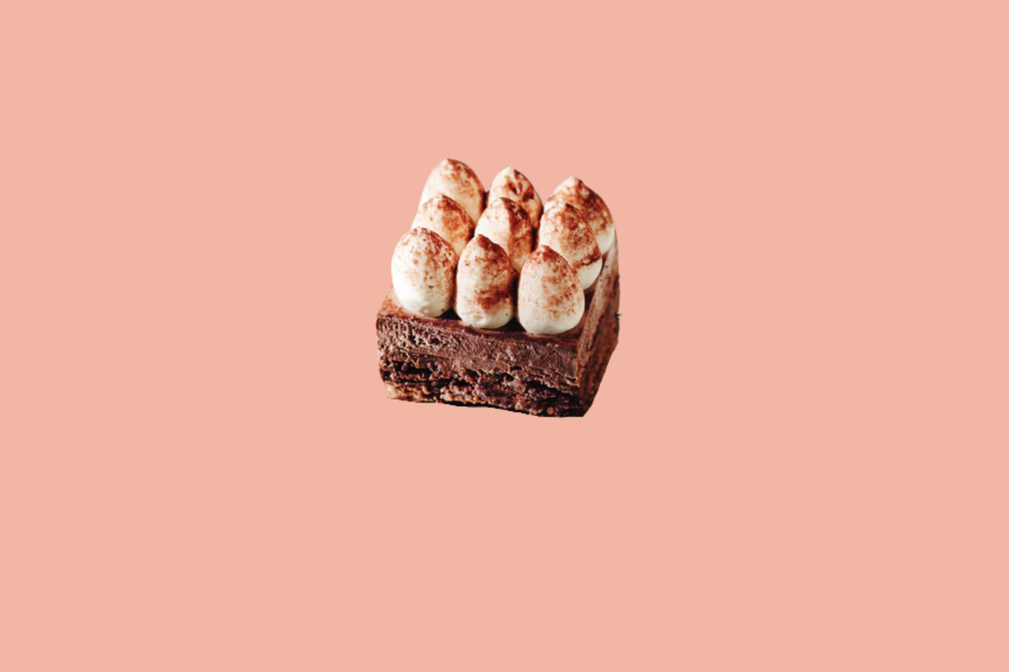 DARK CHOC AND HAZELNUT MOUSSE CAKE